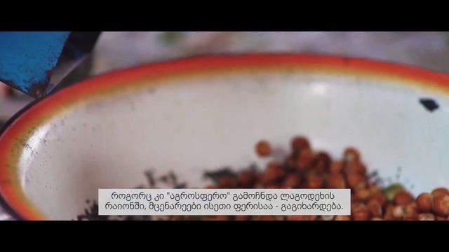 წარმატებული ფერმერი - გიორგი კევლიშვილი смотреть онлайн