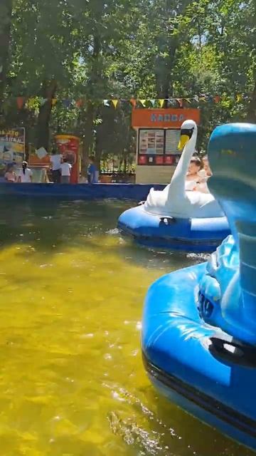 Шымкент зоо парк смотреть онлайн