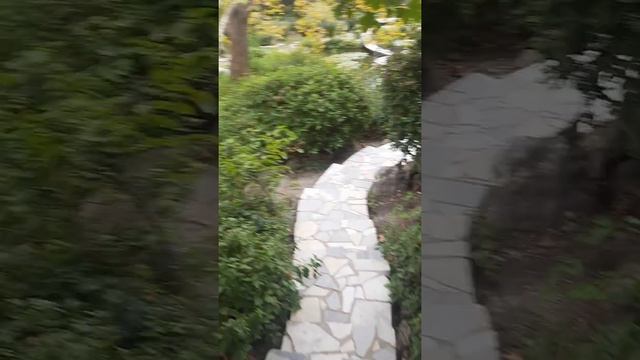 природа Крым парк Форос смотреть онлайн