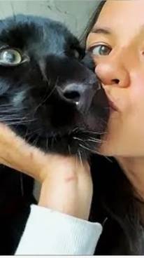 Характер кошки. смотреть онлайн