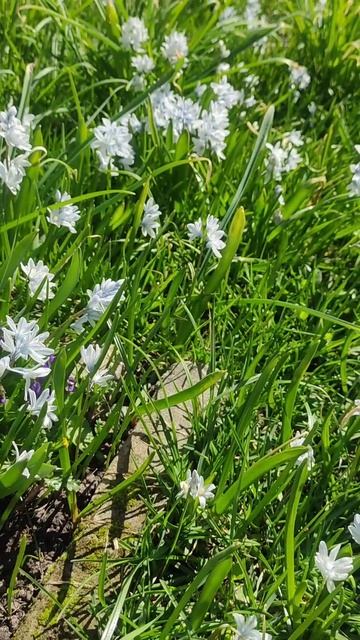 Весна пришла смотреть онлайн