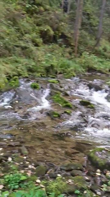 Не только квадроциклы же красивые😌. Сегодня побывали в Кемеровской области. Нашли красивое место смотреть онлайн