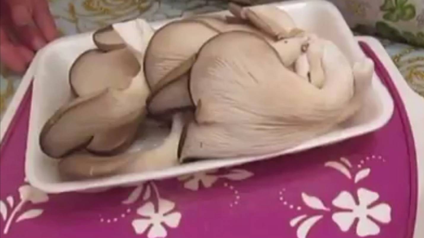 Как вкусно пожарить вешенки смотреть онлайн