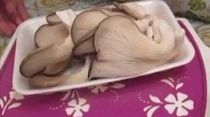 Как вкусно пожарить вешенки