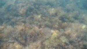 Из Уфы в Крым на автомобиле. Часть 2