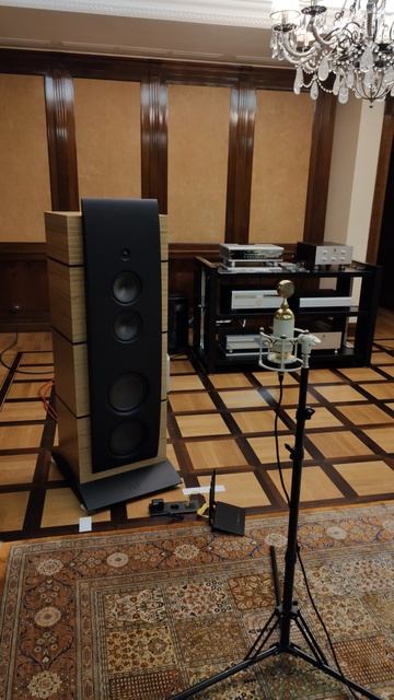 Когда ещё услышите Рамштайн на Magico 🤘😁 смотреть онлайн