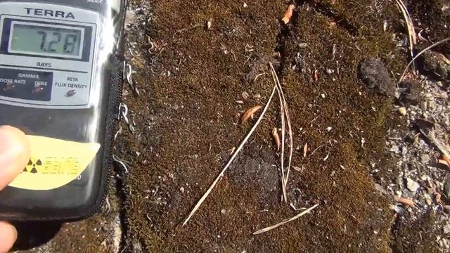 Поездка в Чернобыль-Припять 18 Мая 2013 г. часть 2-я