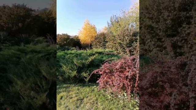 Анапа. Моя жизнь. Сфотографированные мною, любимые места🏖️ смотреть онлайн