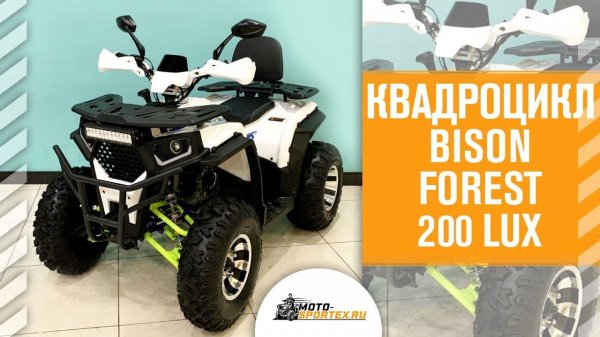 Квадроцикл Bison Forest 200 Lux