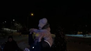 Дубовка Новый год