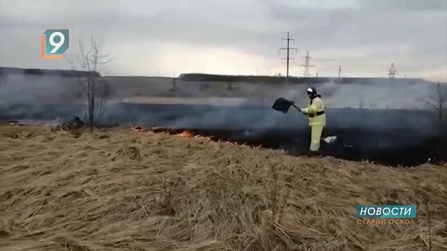В округе участились случаи возгорания сухой растительности смотреть онлайн