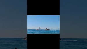 ЮРИЙ АНТОНОВ.,, БЕЛЫЙ ТЕПЛОХОД "