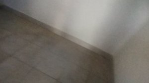 лифты кмз 2016. Московская область. Лесная улица, 24к1. 3 подъезд