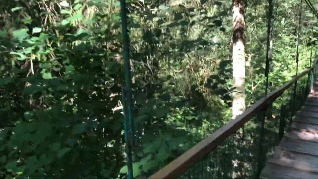 СТАРАЯ РУЗА. Санаторий Дорохово и его окрестности (19.06-28.06.2024) смотреть онлайн