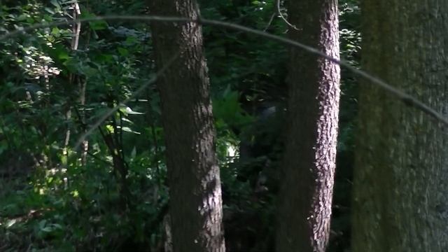 находка года смотреть онлайн