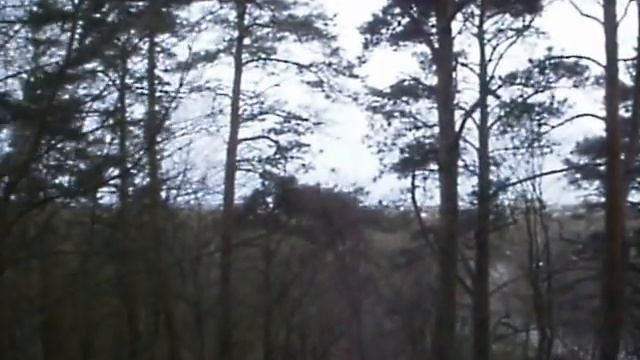 Мой Мустамяэ смотреть онлайн