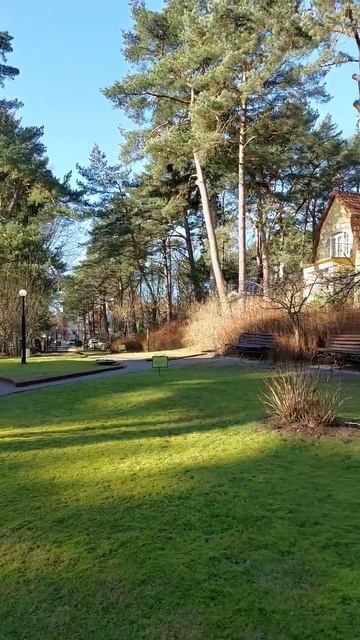 В Светлогорске уже весна, февраль 2023 год смотреть онлайн