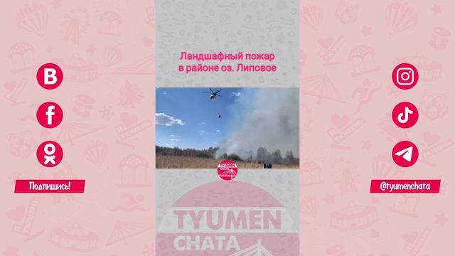 Ландшафный пожар в районе оз. Липовое, Тюмень, 09.05.22 г. смотреть онлайн