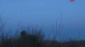 Охота на гуся в России