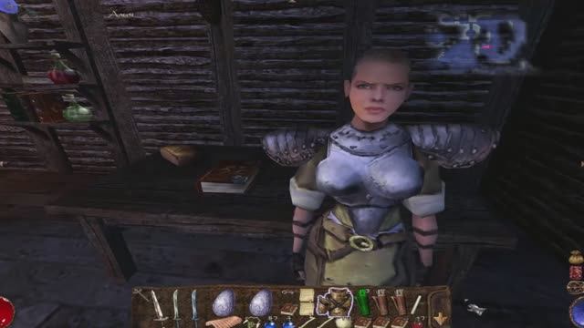 Arx fatalis прохождение игры - часть 20 встреча Алии и Ланшира Расследование дела королевы. смотреть онлайн