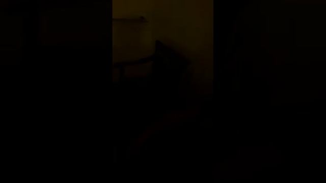 Aiyaree Place Hotel. Наш номер Люкс.