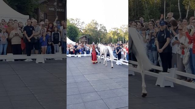 Терская порода лошадей 🔥 #фестиваль #лошади #кони #животные #кузьминки @ЕкатеринаЁ.Ж смотреть онлайн