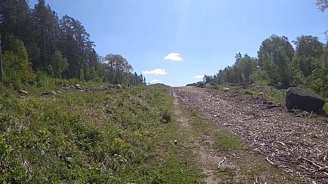 Санкт-Петербург им.Бобочино пос.Поляны(стар.назв.Церковная деревня(Мозjгопи))Россия лета2021(7530) смотреть онлайн