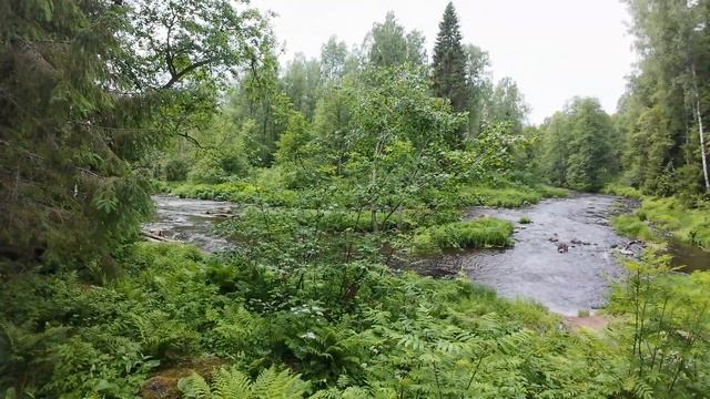 ЭКОТРОПА ЛИНДУЛОВСКАЯ РОЩА смотреть онлайн