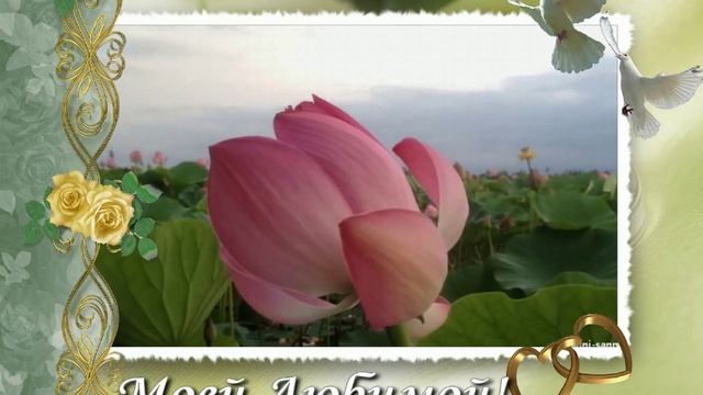 Видео-открытка. Распускающиеся цветы смотреть онлайн