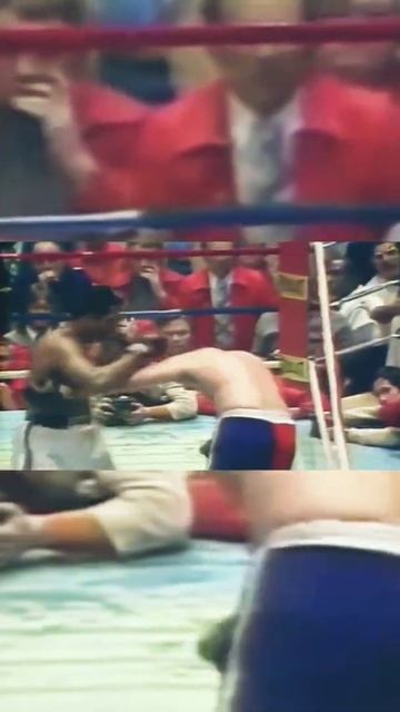#shorts #бокс #mohammed ali #boxing #мохаммед али #sports смотреть онлайн
