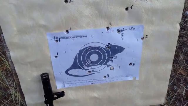 Сайга 410 Отстрел самокрутных шаров. смотреть онлайн