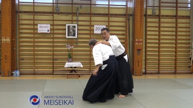 4 Aikido Katadorimenuchi Iriminage, Shishiya Sensei Malmö 2015