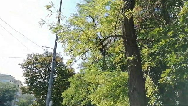 Прогулка от Комсомольской площади до ул. Текучёва. Будённовский проспект. Ростов-на-Дону. 27.07.202 смотреть онлайн