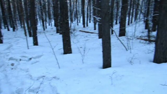 Первый зимний поход без палатки смотреть онлайн