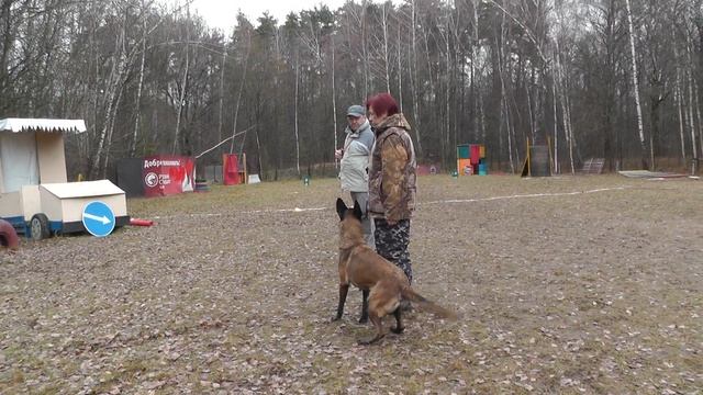 Мондьоринг. КЦ "Ясеневый" 14.11.2015 г. смотреть онлайн