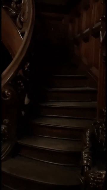 Городская усадьба Морозова в Москве и воспоминания о ее посещении. #москва #интересныеместа смотреть онлайн