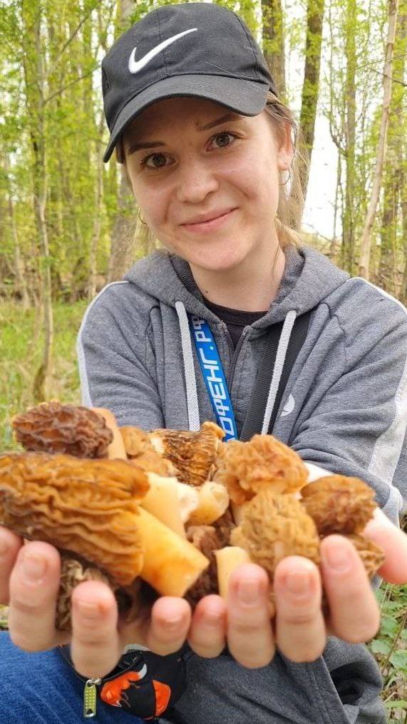 гриб тушеный в сливках, СМОРЧКИ грибы весны, грибники рекомендуют смотреть онлайн