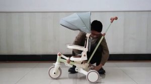 Трехколесный велосипед Kreiss 1000994034