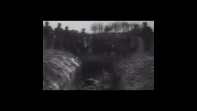 Исследовательская работа: «Геноцид советского населения 1941-1945гг. Места памяти…» смотреть онлайн