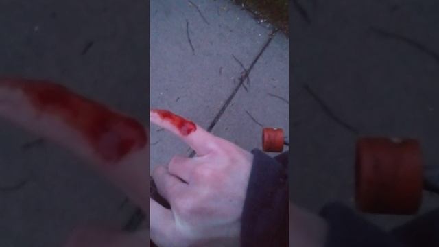 cool skate dog video ⚠bloody смотреть онлайн
