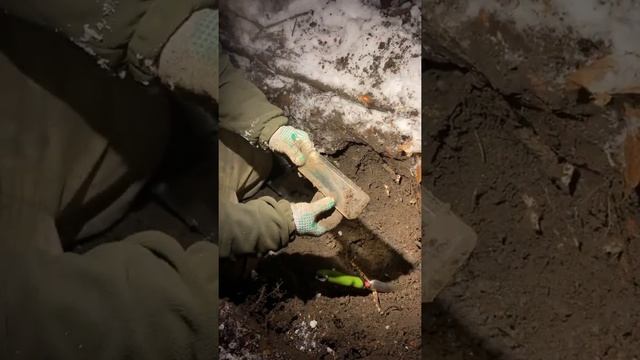 Едем в лес копать бутылки смотреть онлайн