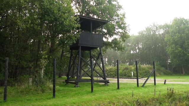 Я строковик смотреть онлайн