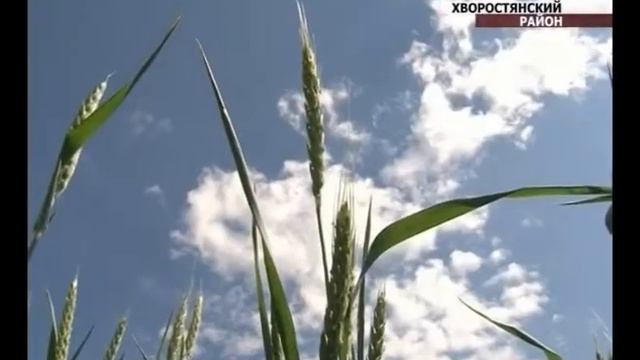 Предварительные итоги посевной смотреть онлайн