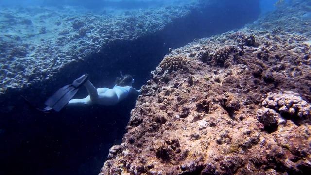 OAHU HAWAII Snorkeling and Freediving in under 3 MINUTES (4K) смотреть онлайн