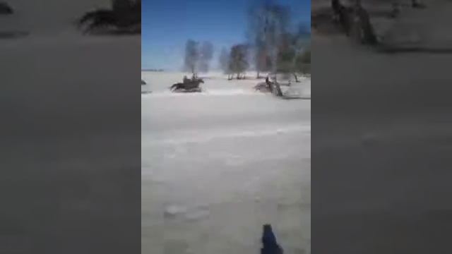 26 февраля 2018 г. смотреть онлайн