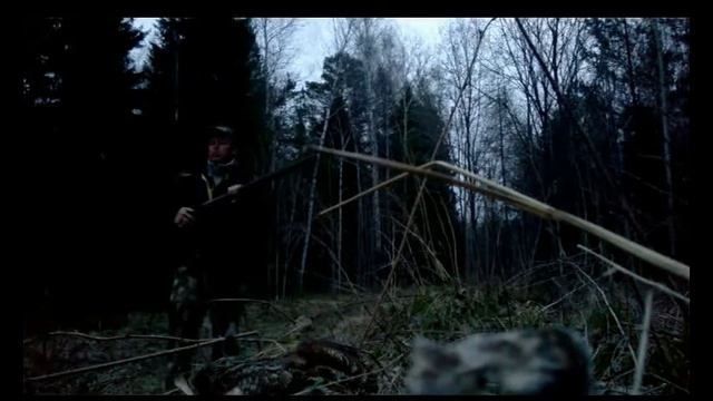 охота на вальдшнепа на тяге 2016 смотреть онлайн