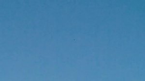 Николаевские голуби. Первые тренировки мариупольского направления. Крым