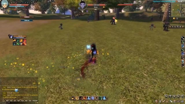 PVP убежище Perfect World - популярный сервер NewExPW смотреть онлайн