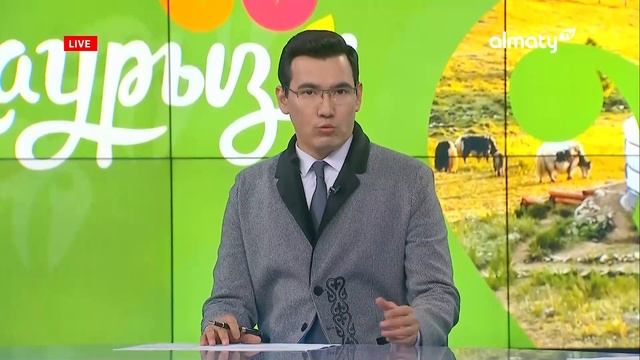 Как в Алматы проходит празднование Наурыза: Дневные новости (21.03.2024) смотреть онлайн