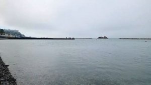 СОЧИ 🌴 Что посетить весной_ Прямой эфир #сочи #всеосочи